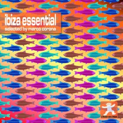 Ibiza Essential Vol. 6