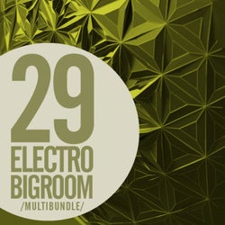 29 Electro Bigroom Multibundle