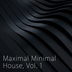 Maximal Minimal House, Vol. 1