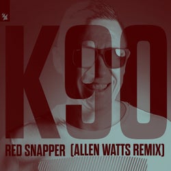 Red Snapper - Allen Watts Remix