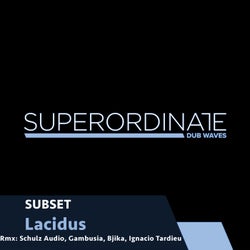 Lacidus
