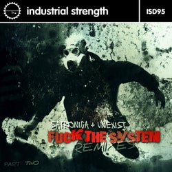 Fuck the System Remixes, Pt. 2