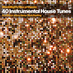 40 Instrumental House Tunes - In a Disco Jazzy DeepTech Feeling
