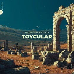Toycular