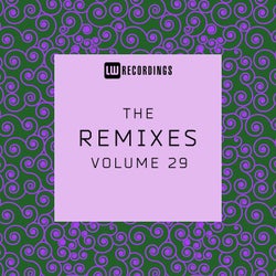 The Remixes, Vol. 29