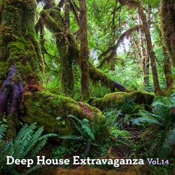 Deep House Extravanganza, Vol. 14
