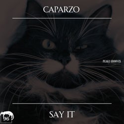 Say It