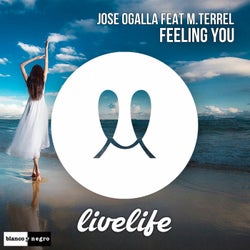 Feeling You (feat. M. Terrel)