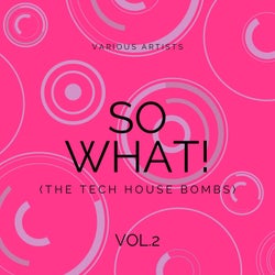 SO WHAT! (The Tech House Bombs), Vol. 2