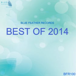 Blue Feather Records - Best Of 2014