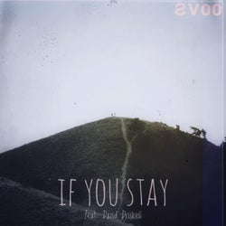 If You Stay (feat. David Driskell)