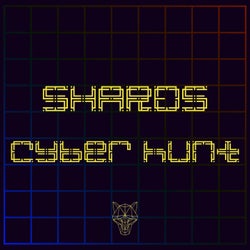 Cyber Hunt