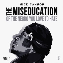 The Miseducation of The Negro You Love to Hate