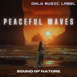Peaceful Waves (feat. Albert Van Deyk)