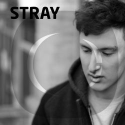 Critical Music - STRAY - Top 10