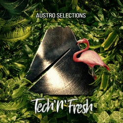 Austro Selections: Tech'n'fresh