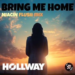 Bring Me Home (Niacin Flush Remixes)