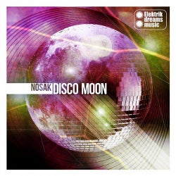 Disco Moon
