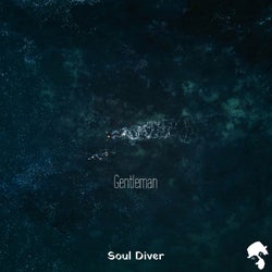 Soul Diver