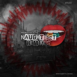5th Selection Of The Naughtiest Remixes