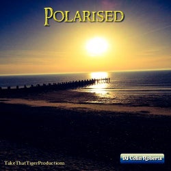 Polarised - The Music That Made The Mix