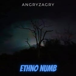 Ethno Numb