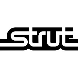 Strut