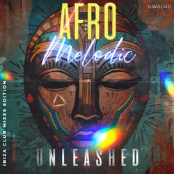 Afro Melodic Unleashed