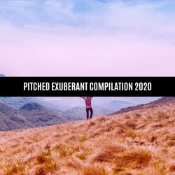 PITCHED EXUBERANT COMPILATION 2020
