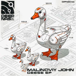 Geese