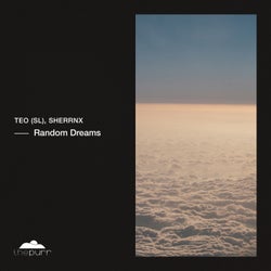Random Dreams