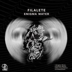 Enigma Water