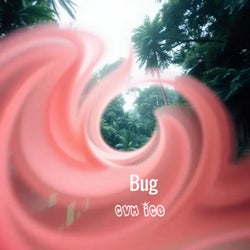Bug