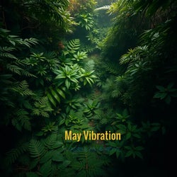 May Vibration