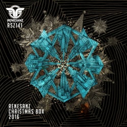 Renesanz Christmas Box 2016