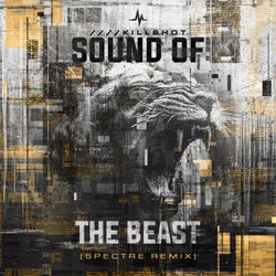 Sound of the Beast - Spectre Remix