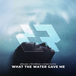 What The Water Gave Me