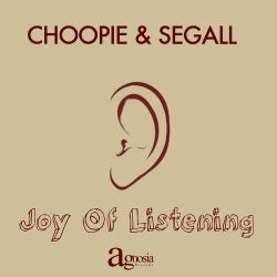 Joy Of Listening