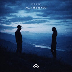 All I See Is You