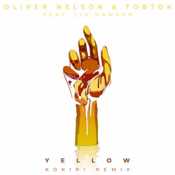 Yellow (feat. Liv Dawson) [Kokiri Remix]