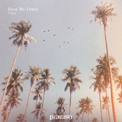 Burn Me Down (Extended Mix)