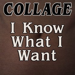 I Know What I Want (Remixes)