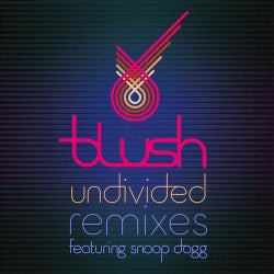 Undivided (Remixes)