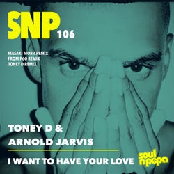 I Want To Have Your Love