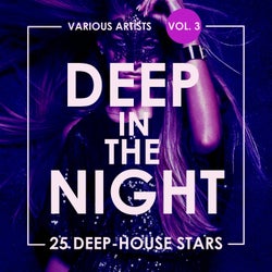 Deep In The Night, Vol. 3 (25 Deep-House Stars)