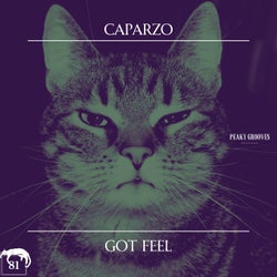 Got Feel