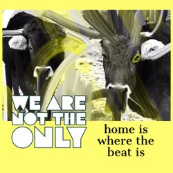 Home Is Where The Beat Is