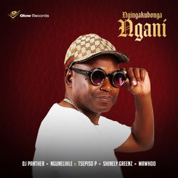 Ngingakubonga Ngani (feat. Tsepiso P, Shinely Greenz & Mawhoo)