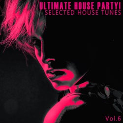 Ultimate House Party! - Vol.6