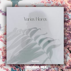 Varias Horas